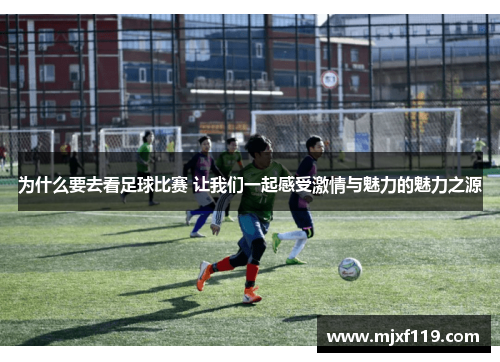 为什么要去看足球比赛 让我们一起感受激情与魅力的魅力之源