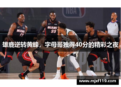 雄鹿逆转黄蜂，字母哥独得40分的精彩之夜