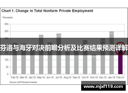 芬洛与海牙对决前瞻分析及比赛结果预测详解