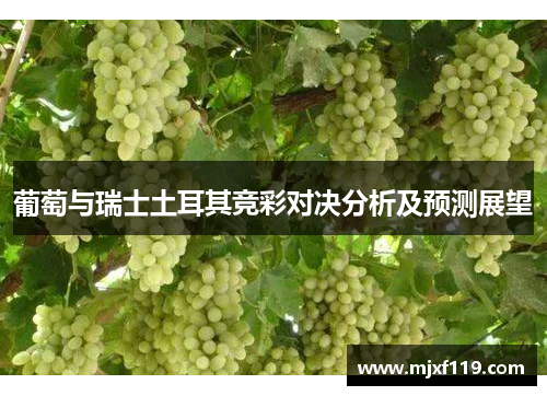 葡萄与瑞士土耳其竞彩对决分析及预测展望