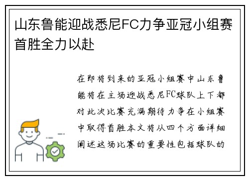 山东鲁能迎战悉尼FC力争亚冠小组赛首胜全力以赴