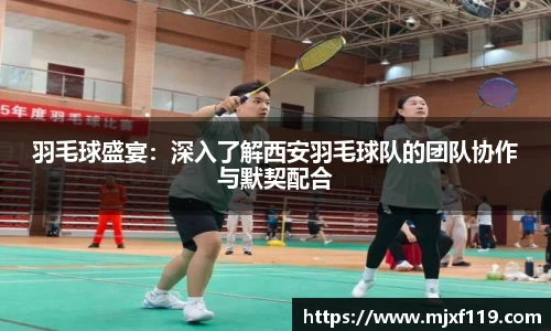羽毛球盛宴：深入了解西安羽毛球队的团队协作与默契配合